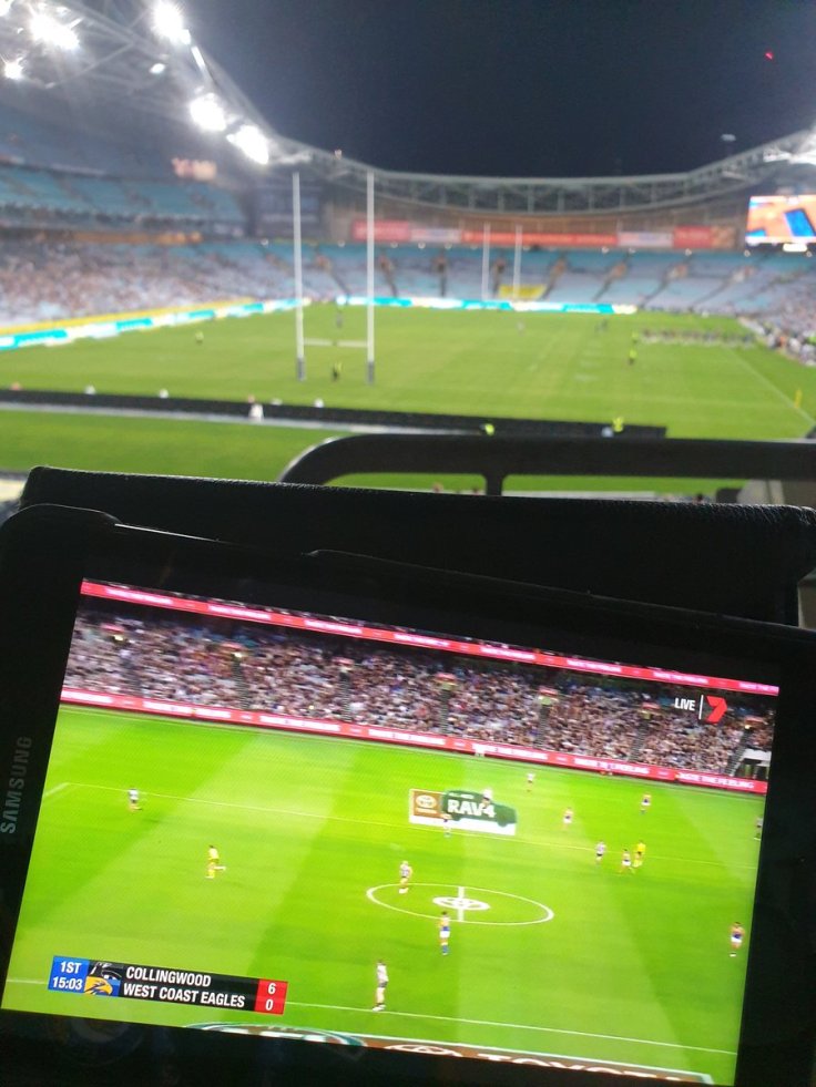 Eels Sharks Eagles Magpies