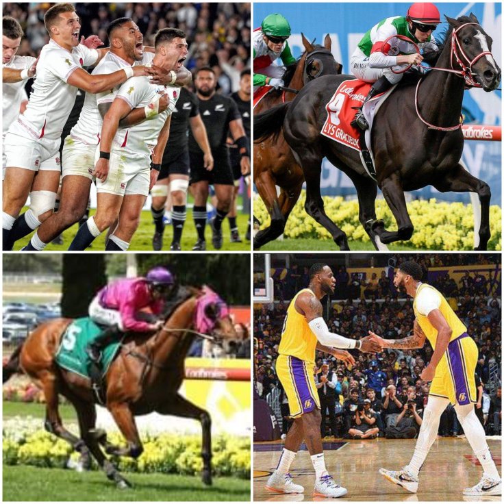 England Lakers Horses